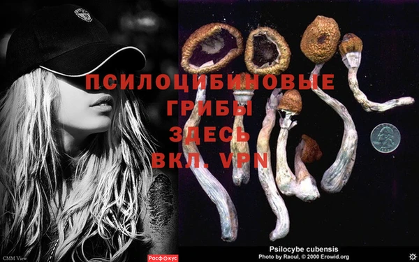 гашиш Алексеевка
