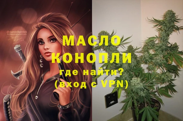 дмт Алексин