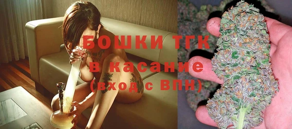 дмт Алексин