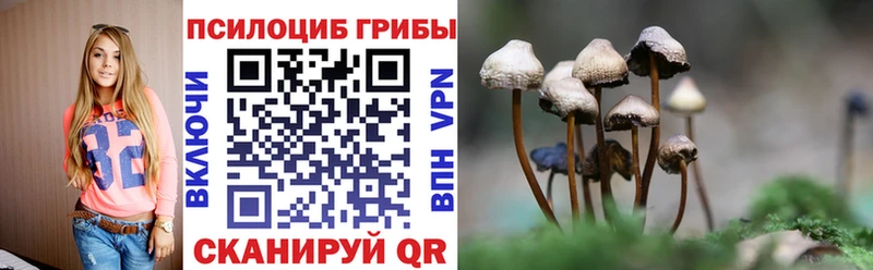 Псилоцибиновые грибы прущие грибы  Динская 